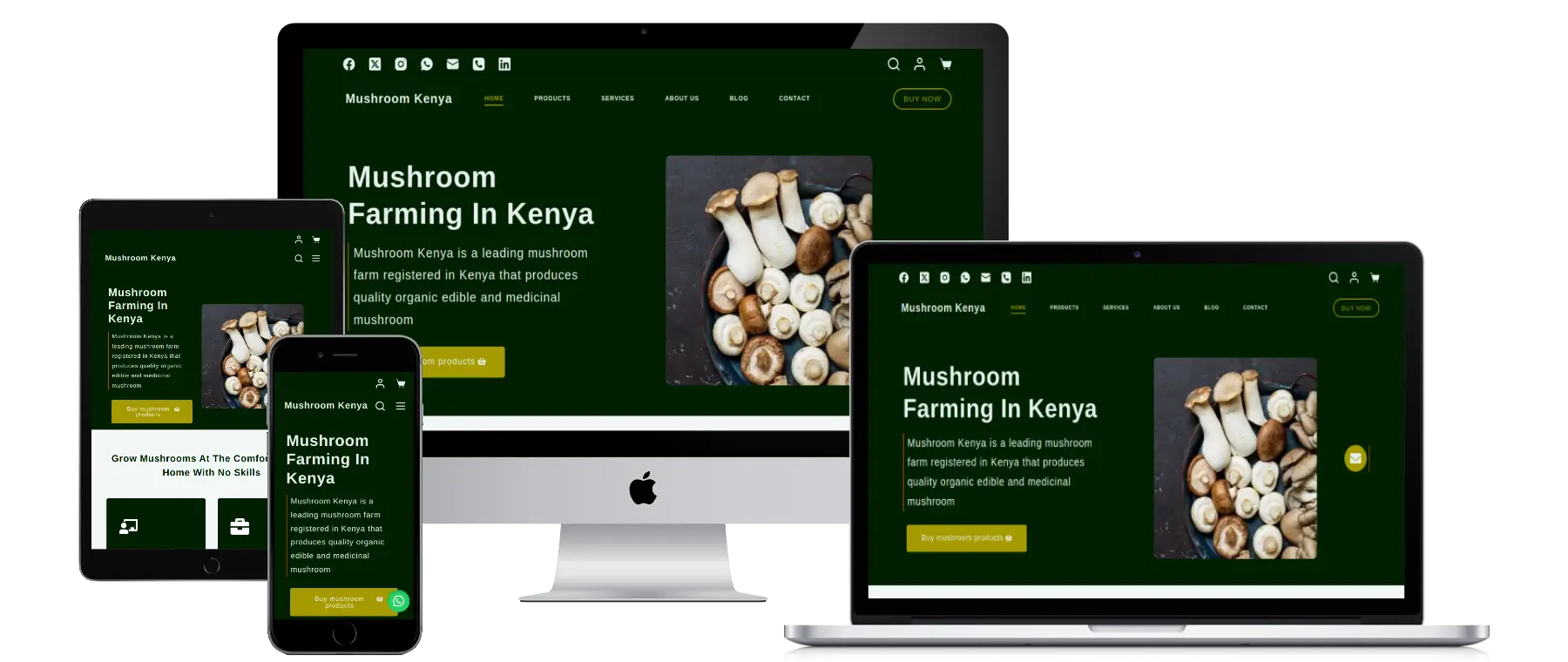 mushroom kenya web design project